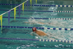 开云kaiyun-全国公开水域游泳赛长江赛段人气爆棚