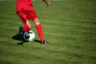 开云网页版登录入口-意甲裁判语义辅助判罚系统提升比赛公平性研究，意甲裁判组